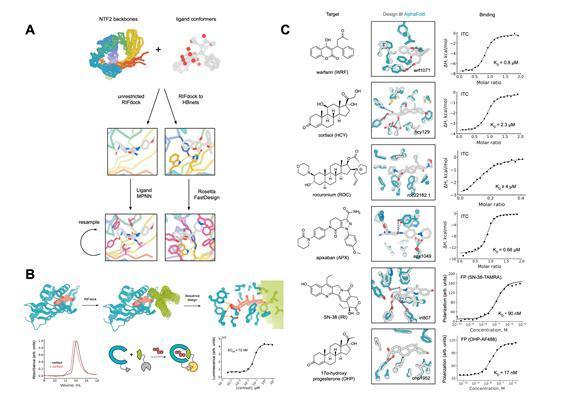 KAIST researchers and Nobel winner David Baker develop AI protein sensors for cortisol