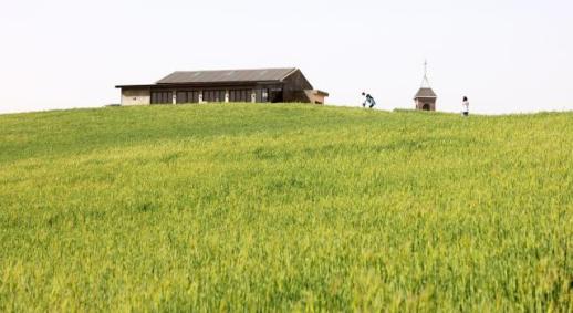 보령시, 스크린 속 그 장면, 현실이 된다…촬영지 관광 봄 수요 잡는다