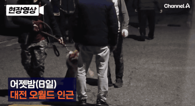 사진채널A 보도 화면 캡처