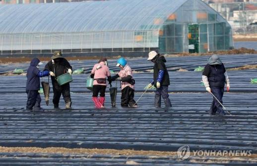 Thành phố Samcheok mở rộng tiếp nhận lao động thời vụ nước ngoài… 233 người dự kiến nhập cảnh năm nay