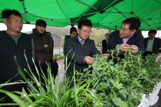 이승돈 농진청장 국산 풀사료 보급 확대로 농가 비용 절감