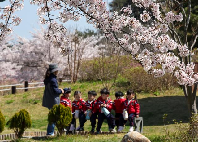 The 2026 Gyeongpo Cherry Blossom Festival continues at Gyeongpo Lake in Gangneung Gangwon Province on April 8 2026 AJP Yoo Na-hyun
