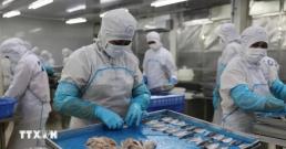 [ASIA BIZ] 중동 전쟁이 바꾼 베트남 수산물 지도..."배송 2주 늦고 운임은 600만원 뛰고"