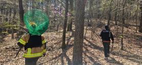 Search for escaped wolf at South Korean zoo drags into fifth day