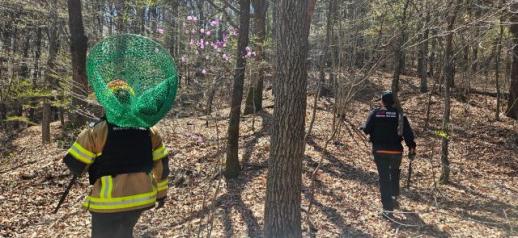 Search for escaped wolf at South Korean zoo drags into fifth day