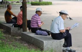 Thị trường lao động Hàn Quốc: Thách thức từ già hóa và sự rời bỏ của thanh niên