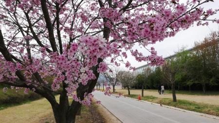 사진경륜경정총괄본부
