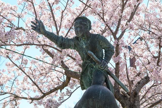 Following the tracks, following the taste (Gangneung) -1