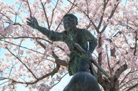 Following the tracks, following the taste (Gangneung) -1