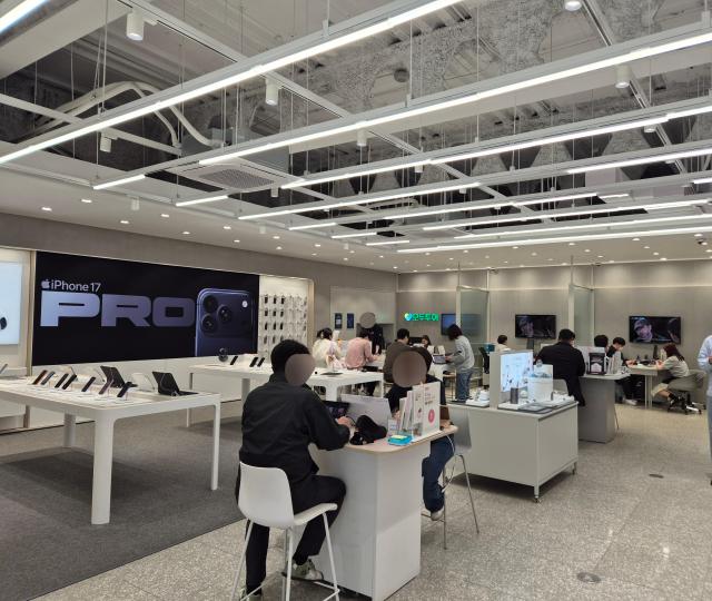 사진나선혜 기자