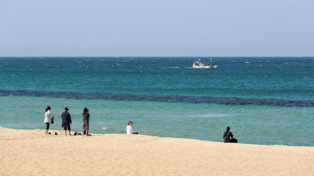Citizens relax at Anmok Beach in Gangneung Gangwon Province on April 8 2026 AJP Yoo Na-hyun 20260408