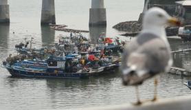 Soaring fuel costs squeeze fishermen amid prolong Middle East crisis