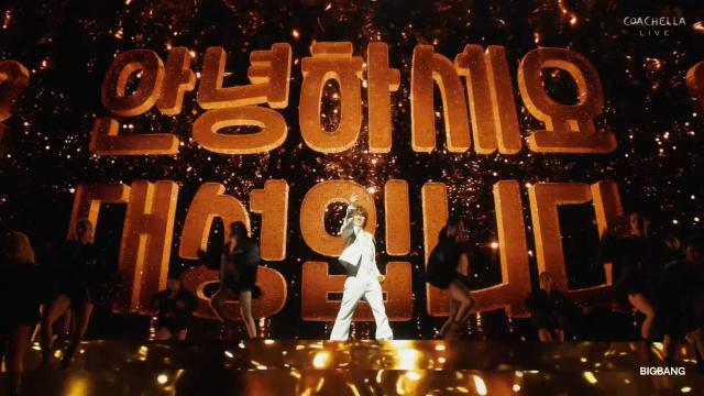 사진코첼라 유튜브 실황 캡처