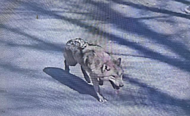 사진대전소방본부·연합뉴스