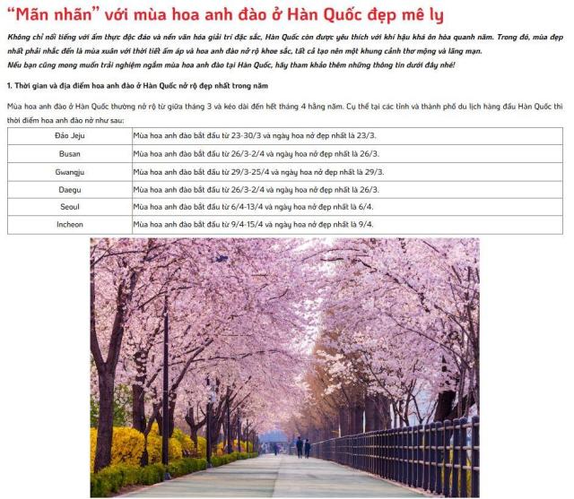 비엣젯항공이 소개하는 한국의 벚꽃 개화 시기 사진비엣젯항공 홈페이지 갈무리
