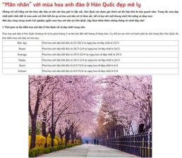 "비싸도 한국 간다" 베트남 관광객, 200만 원대 패키지에도 한국으로