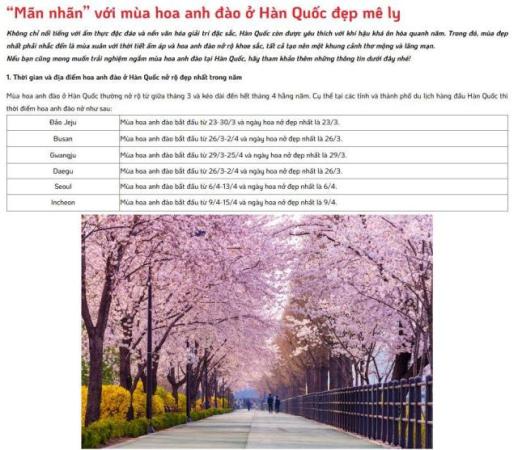 비싸도 한국 간다 베트남 관광객, 200만 원대 패키지에도 한국으로