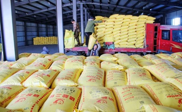 中国拟暂停硫酸出口震荡全球供应链 韩国称影响有限