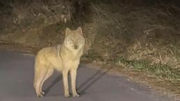 죽을 죄를… 김창민 감독 폭행男, 5개월만에 입 열었다