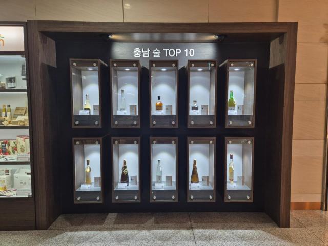 2025 충남술 top10 전시 사진사진충남도