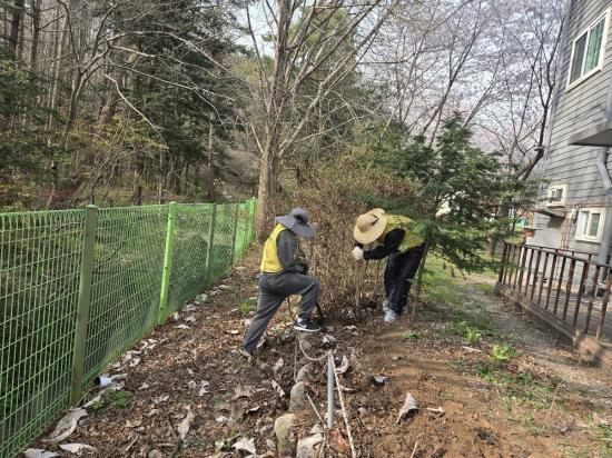 사진끌루이 제공