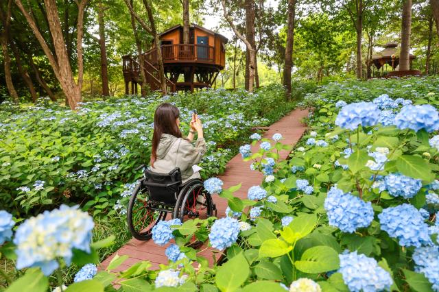 전주 수목원 여행 프로그램. [사진=한국관광공사]