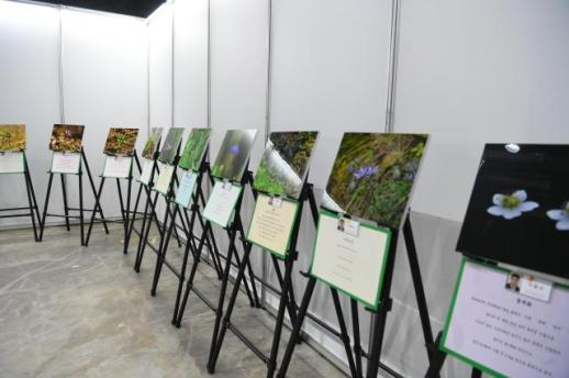 화천군, 생활예술 지원사업 추진…아마추어 단체 최대 400만원 지원