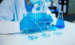 코로나19 시카다형 변이 확산 조짐… 日서 감염 확인