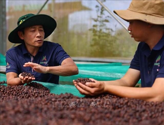 사진베트남 통신사