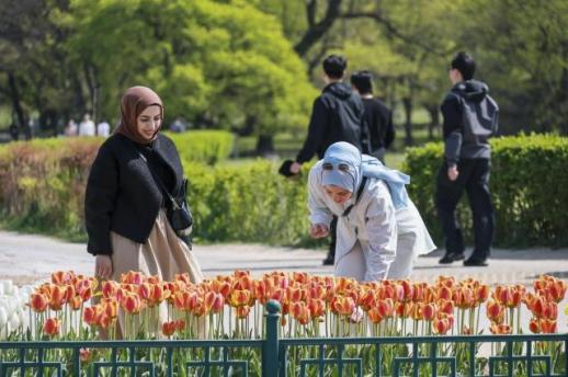 Khách du lịch nước ngoài đến Gyeongju tăng 7,8% trong quý I