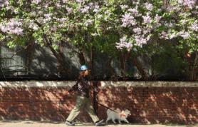 Spring gives way to early summer heat