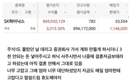 엄마가 준 3만원, 9억 됐다 하이닉스 3000% 수익률 대박