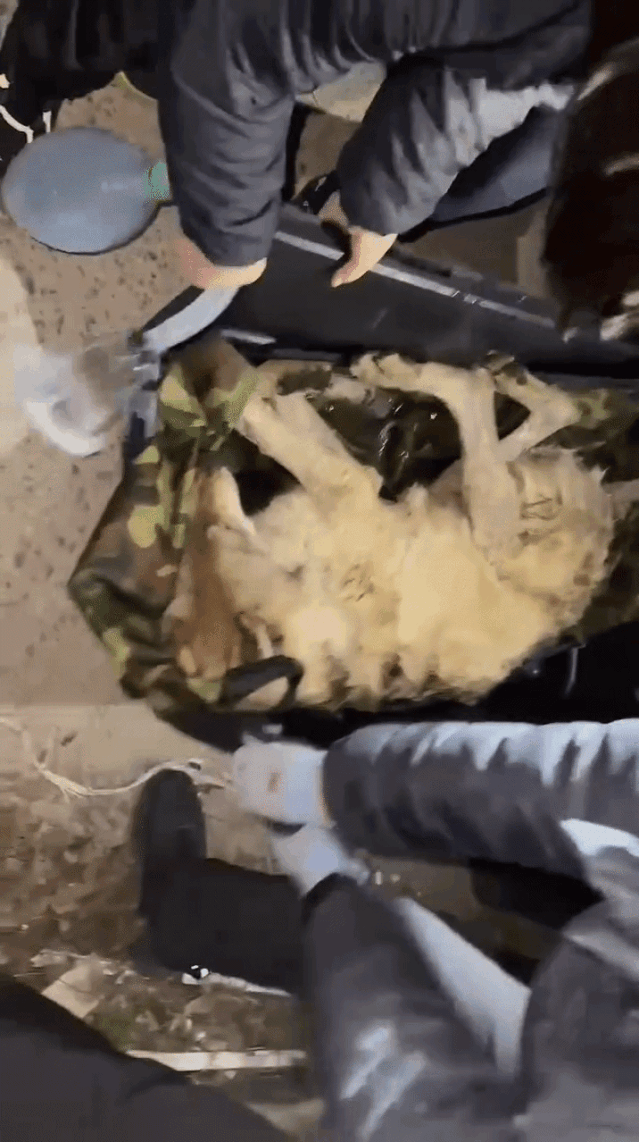 영상 대전서부소방서 119구조대 제공
