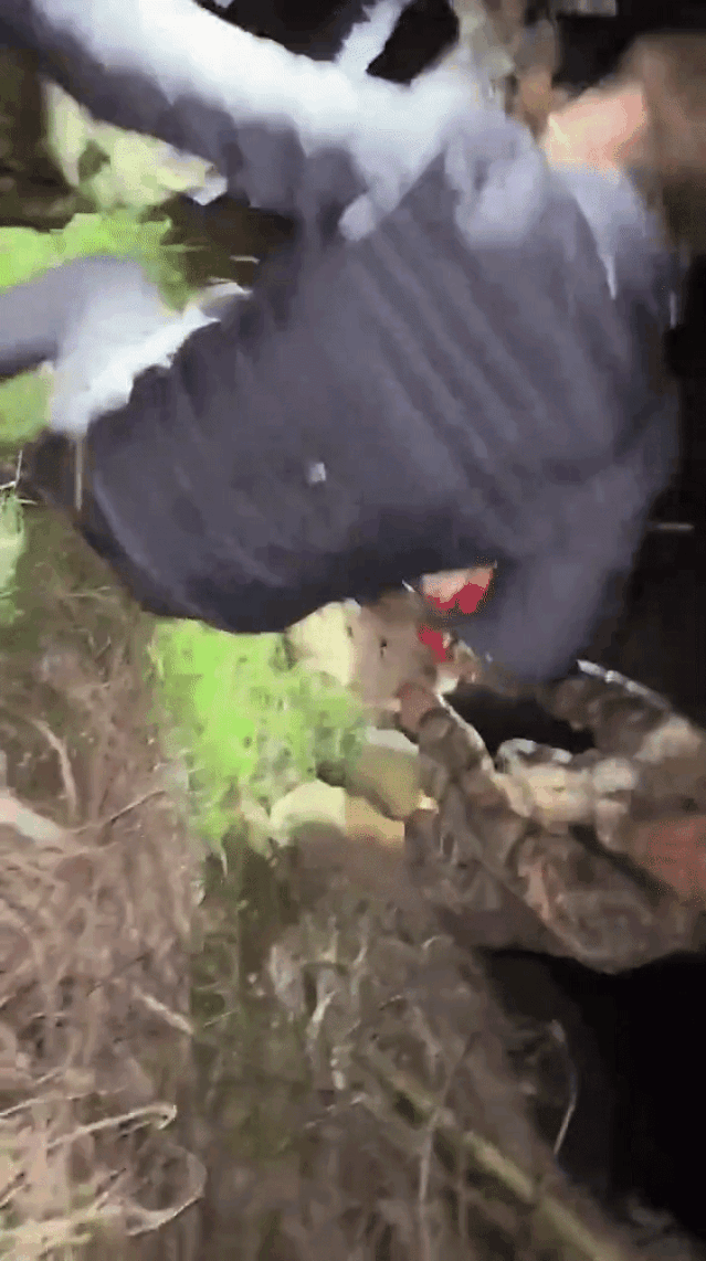 영상 대전서부소방서 119구조대 제공
