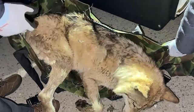 사진연합뉴스·대전시 제공