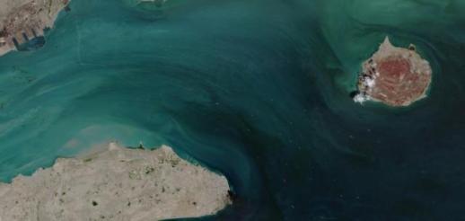 트럼프 UFO와 관련한 흥미로운 자료 조만간 공개