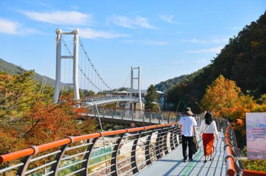 속초시 설악향기로 20개월 만에 50만 명 돌파…설악동 관광 재도약 견인