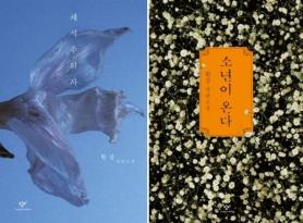 Han Kang leads Koreas book market for a decade