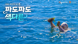 박찬욱부터 호프 군체 도라까지…칸 영화제, 韓영화 반등 신호탄 될까