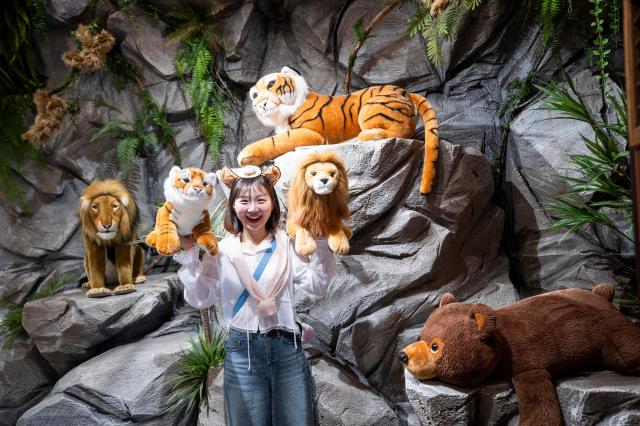 나만의 반려 인형을 입양할 수 있는 에버랜드 사파리 기프트샵 사진에버랜드