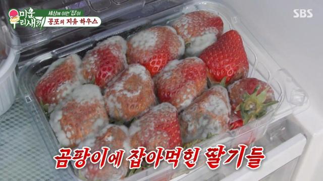 코미디언 김지유의 집에서 발견된 딸기 사진SBS 미운우리새끼 방송 캡처