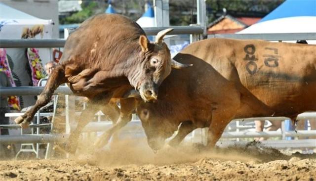 사진창원특례시