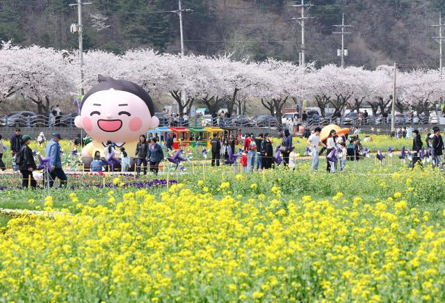 Visitors attend the Samcheok Maengbang Canola Flower Festival. [Photo provided by Samcheok City]