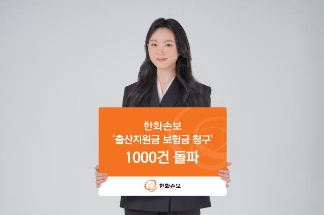사진한화손보
