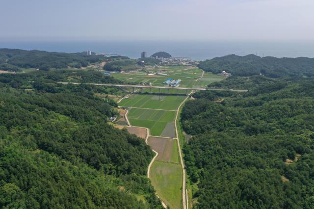 ‘인구지구 대구획 경지정리사업’ 현장사진 사진양양군