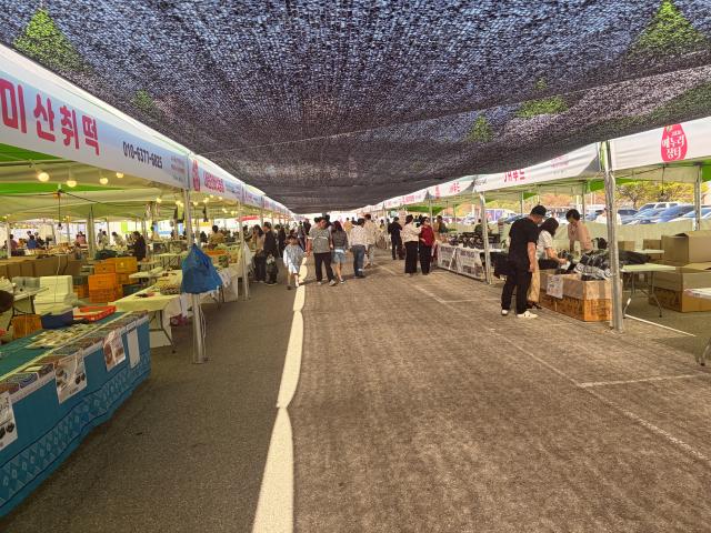 강원 인제군 2026년 에누리장터 현장사진인제군