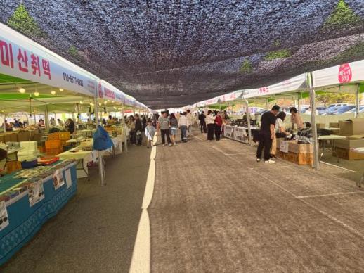 봄 산나물에 지갑 열렸다…인제 에누리장터, 매출·인기 동반 상승