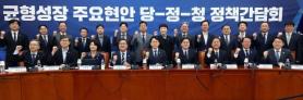 Democratic Party, government and presidential office to form PM-led task force for balanced regional development