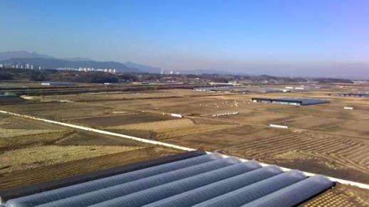 충남도, 스마트 수출단지 3곳 선정…비관세 장벽 넘어 K-과일 수출 드라이브