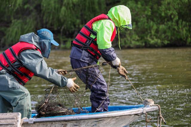 After rare catch, Han River survey sets sights on new discovery 